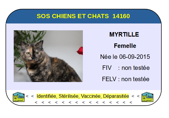 Ci myrtille 3