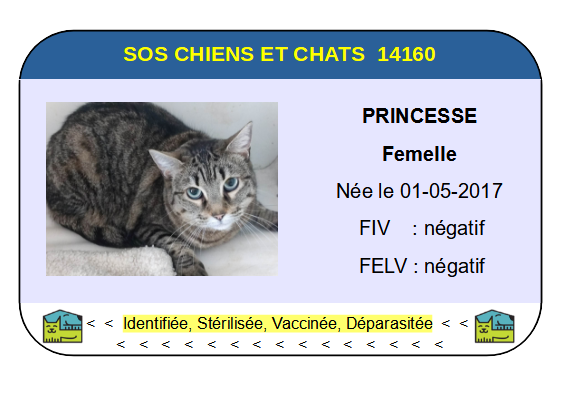 Ci princesse 1