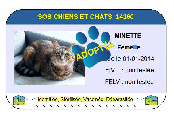 Cia minette 1