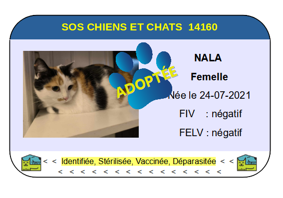 Cia nala 1