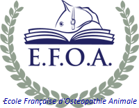 Logo efoa 4